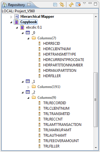 components-tfileinputebcdic_s1_copybook.png